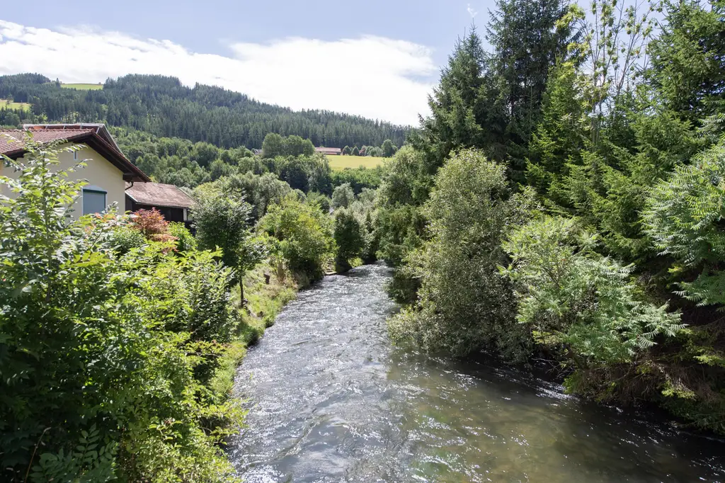 Charmante Eigentumswohnung mit Entwicklungspotenzial & Baugrundstück am idyllischen Mürzufer