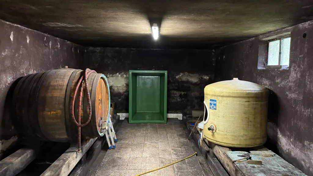 Das Herz des Weins – Ihr Weinkeller in der Pinkataler Idylle