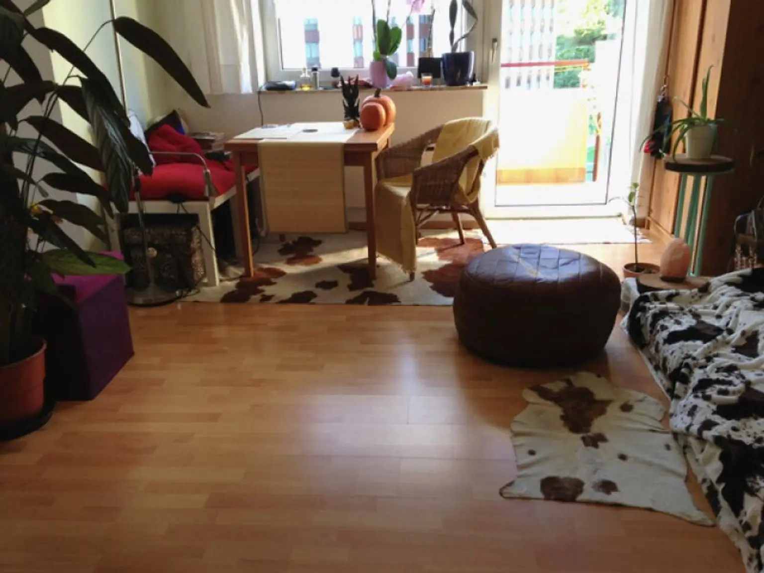 Hübsche Starterwohnung mit Balkon und Autoabstellplatz in perfekter Lage!