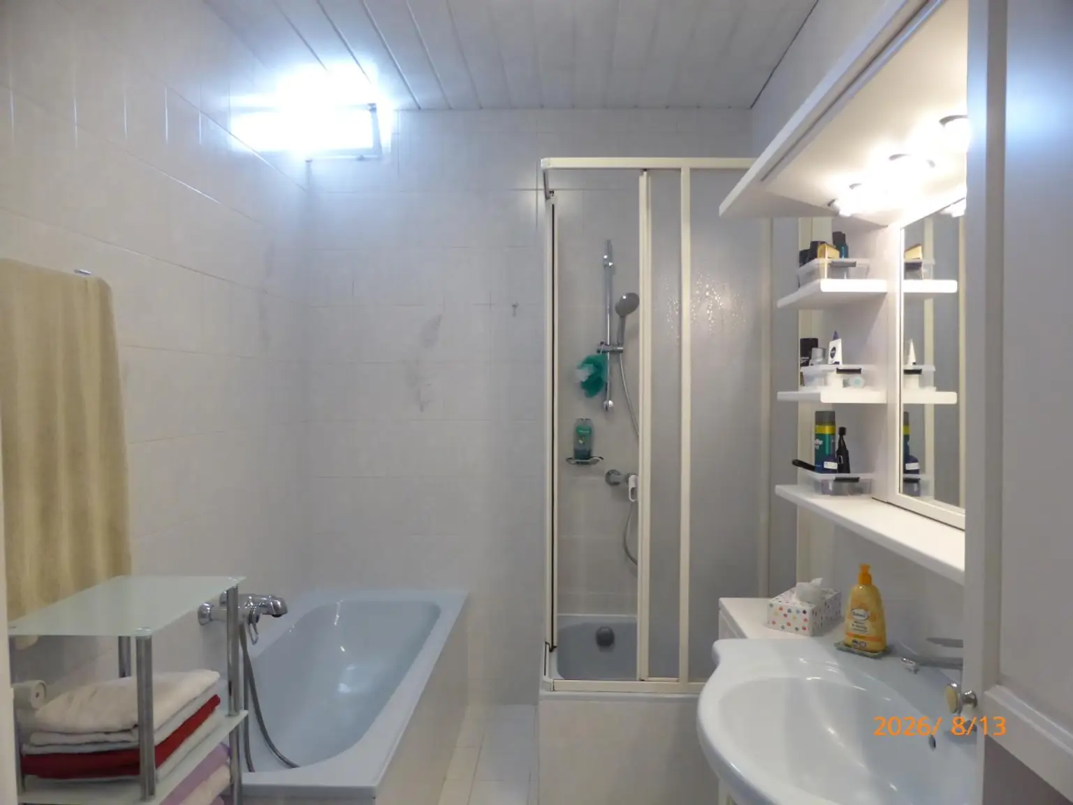 EFH - Badezimmer