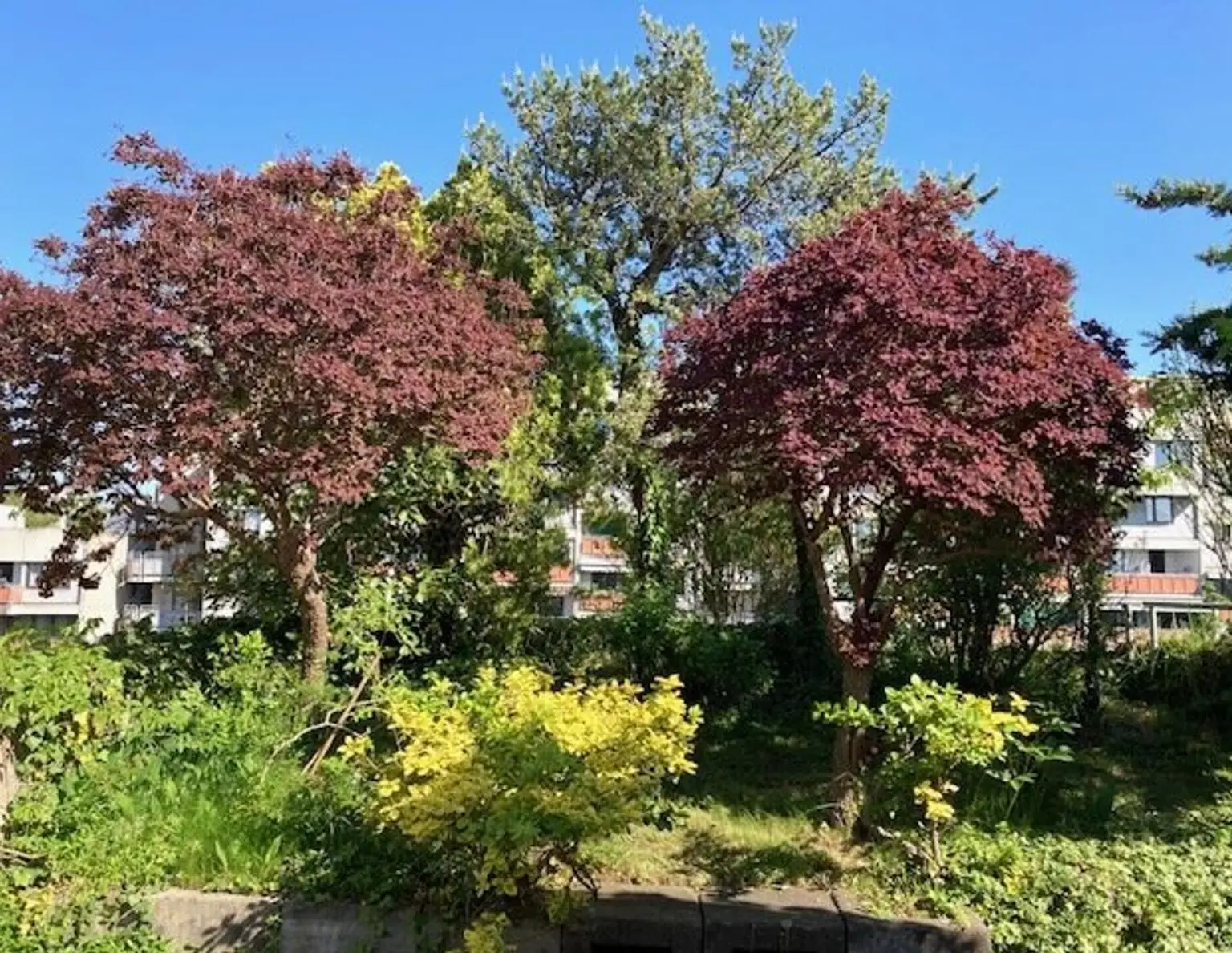 Terrassenhighlight in St. Peter: 5 Zimmer & 95 m² Dachterrasse und Dachgarten mit Panoramablick!