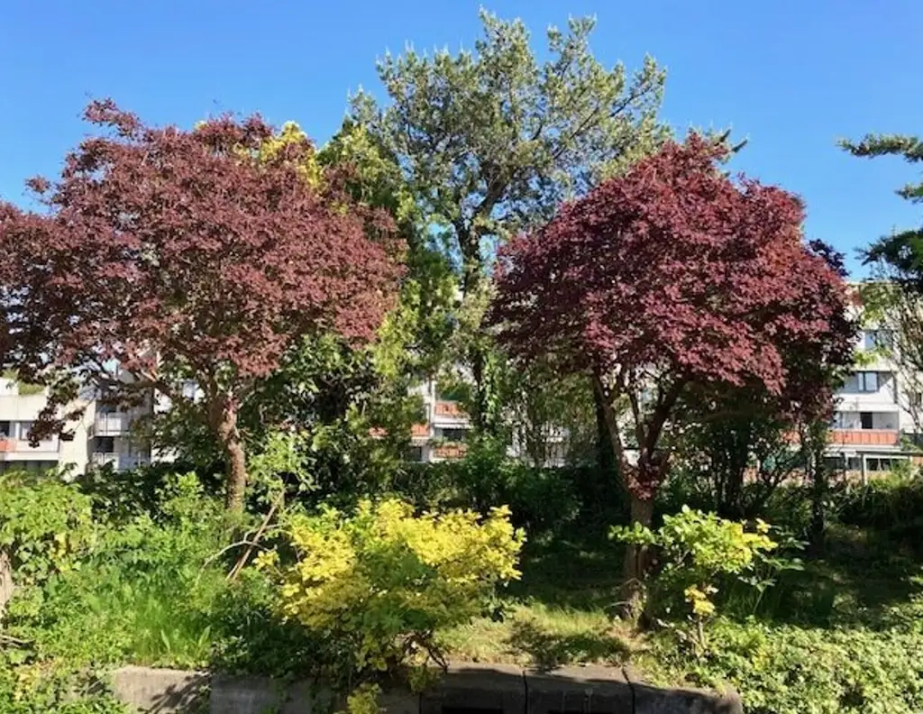 Terrassenhighlight in St. Peter: 5 Zimmer & 95 m² Dachterrasse und Dachgarten mit Panoramablick!