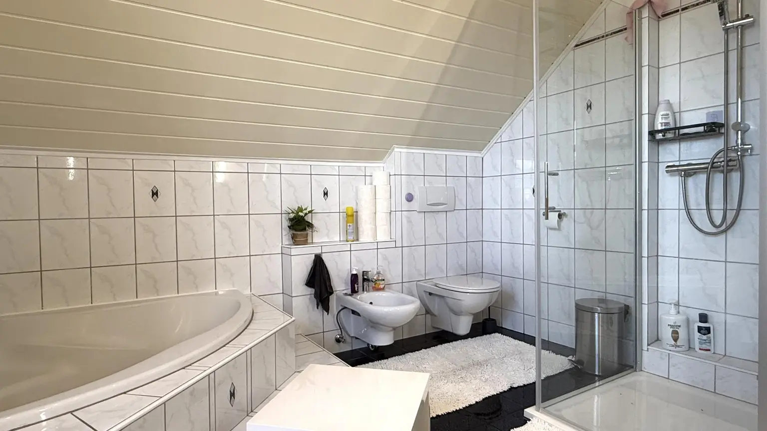 Dusche, WC und Eckbadewanne