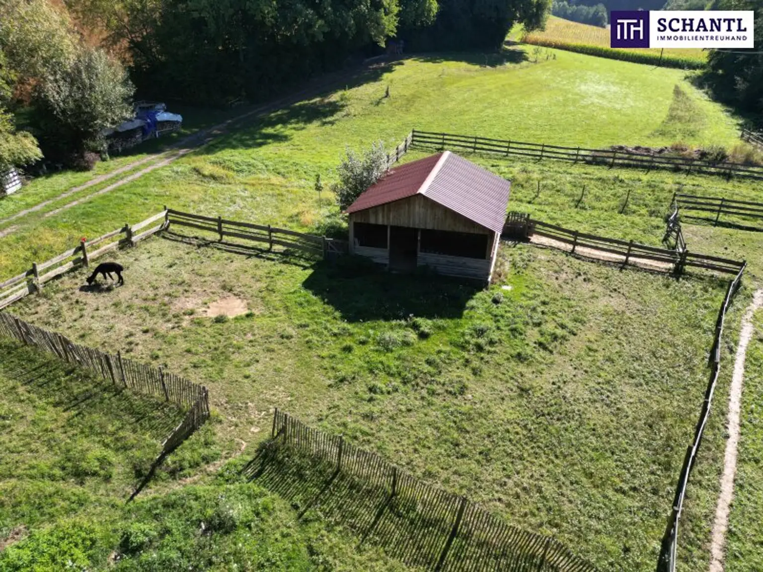 SENSATIONELLES JUWEL! Exklusiver Vierkanthof im Thermenland Steiermark – Wohnen, Reiten & Leben mit Pool und Natur!