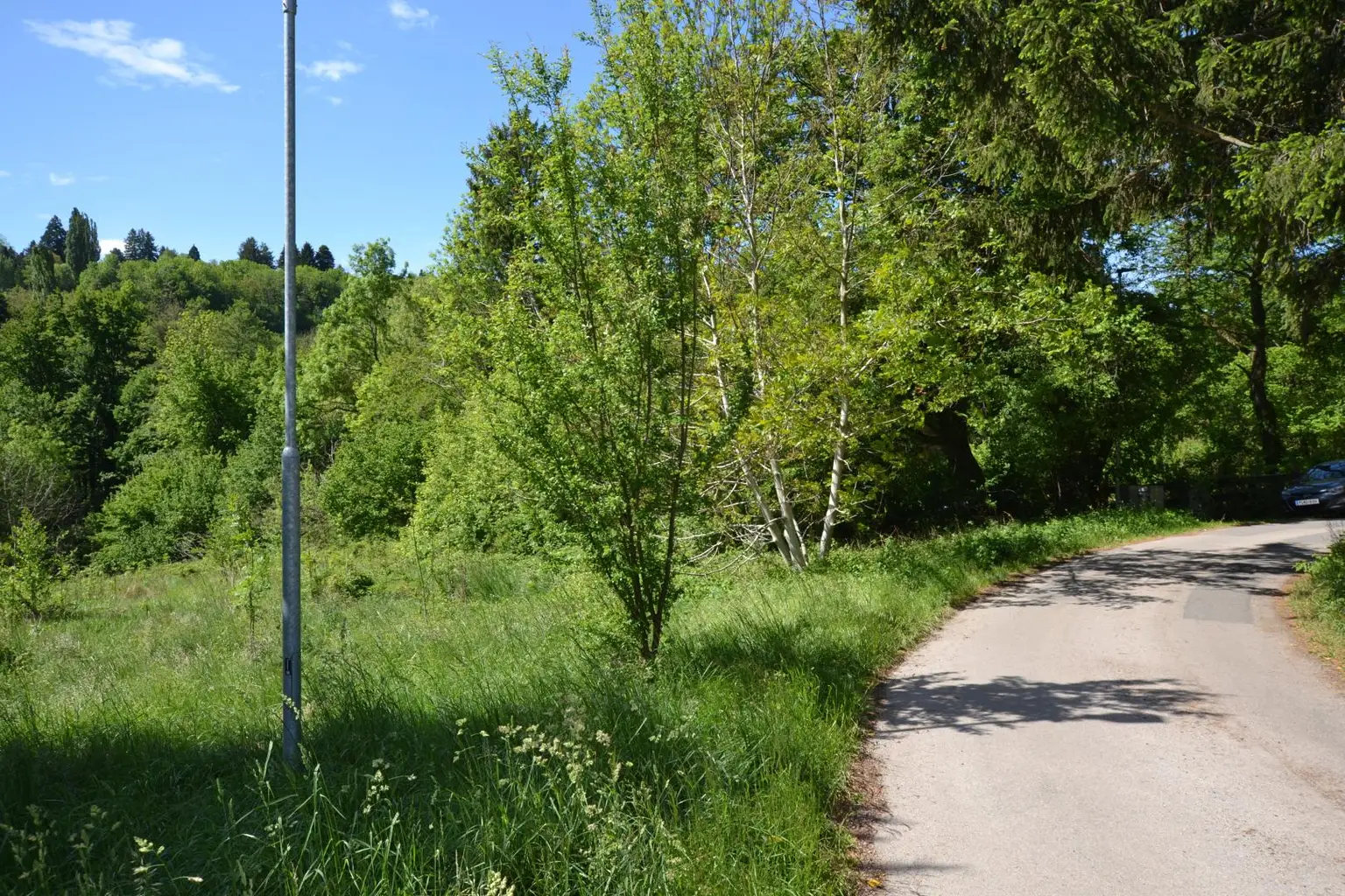 Zufahrtsstraße