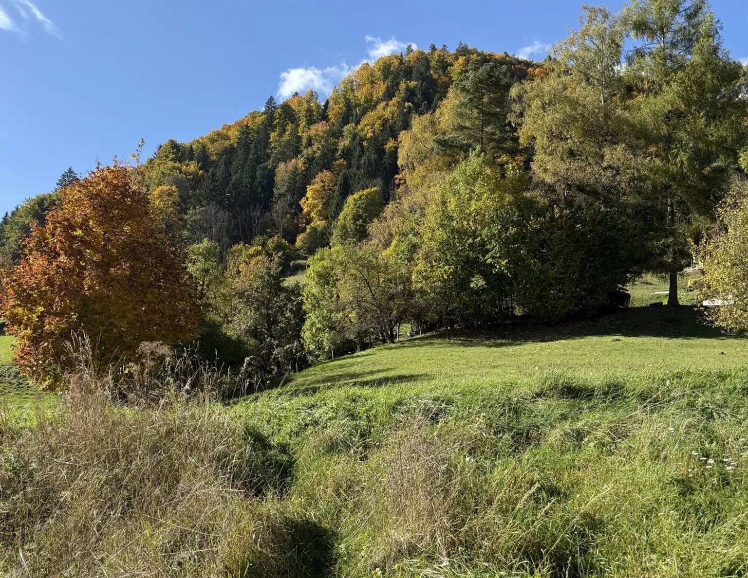 Grundstück in Weißenbach bei Liezen