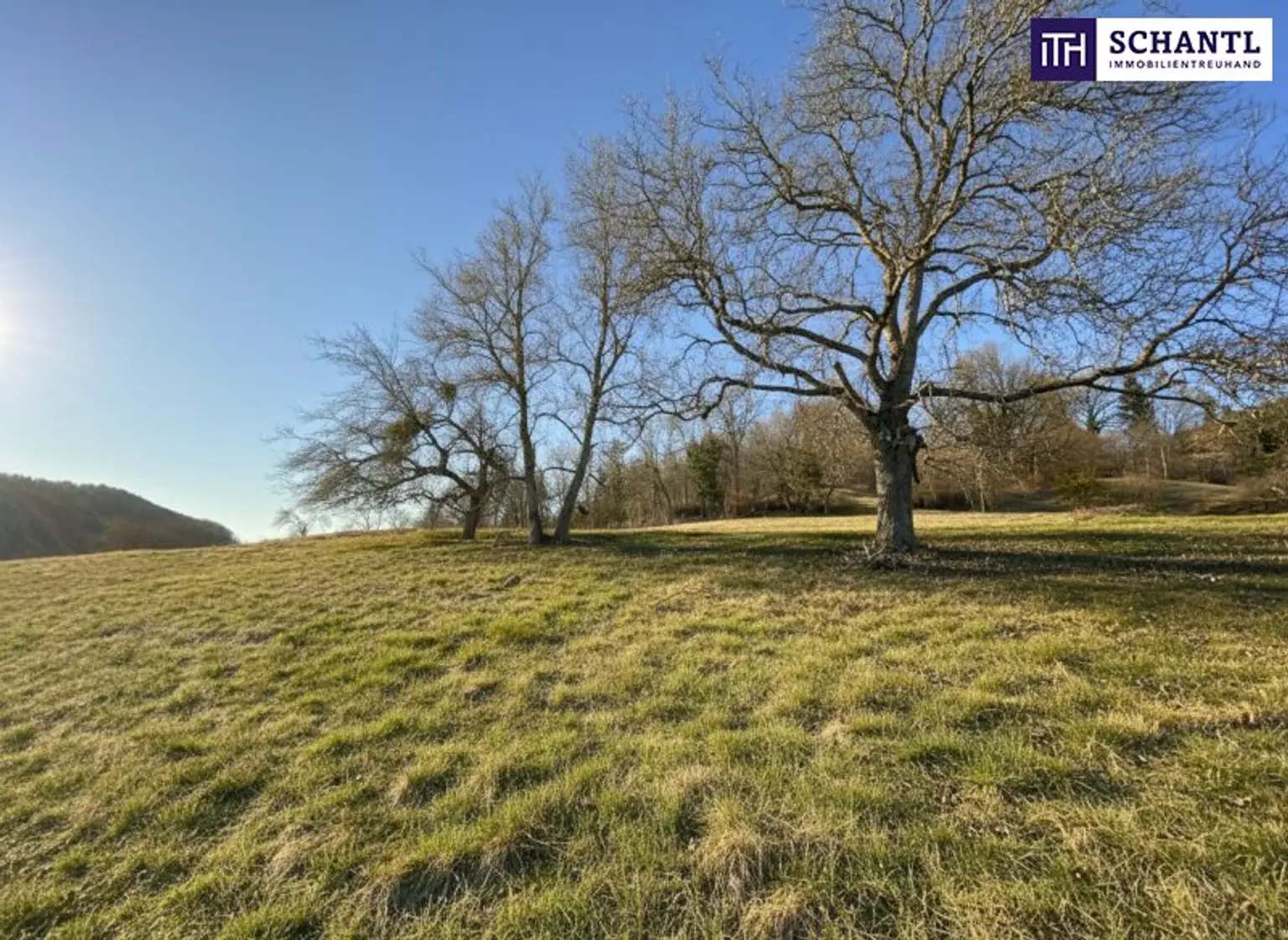 7 Parzellen verfügbar - Tolles Baugrundstück am Sonnenhang in Prenning bei Deutschfeistritz – 3.700 m², aufteilbar in 7 Parzellen