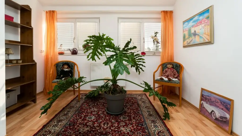 Modernisiertes Einfamilienhaus in Bockfließ – 5 Zimmer, Terrasse, Garage, Ihr neues Zuhause!