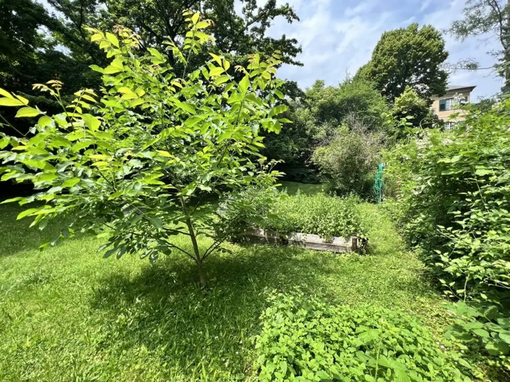 Rarität (!) Großzügige Villa in Badener Bestlage am Mitterberg mit prächtigem Garten - zentrumsnahe (!)