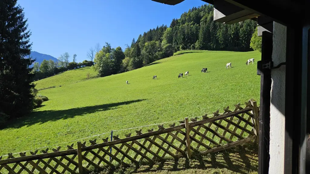 Haus in einzigartiger Alleinlage mit toller Aussicht!