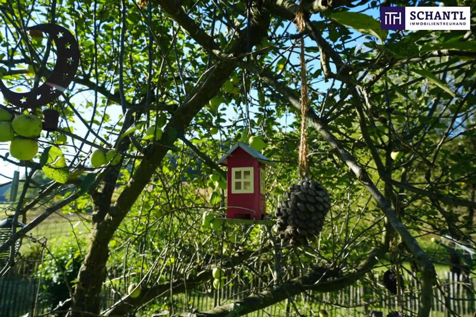 SENSATIONELLES JUWEL! Exklusiver Vierkanthof im Thermenland Steiermark – Wohnen, Reiten & Leben mit Pool und Natur!