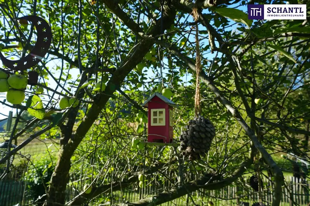 SENSATIONELLES JUWEL! Exklusiver Vierkanthof im Thermenland Steiermark – Wohnen, Reiten & Leben mit Pool und Natur!