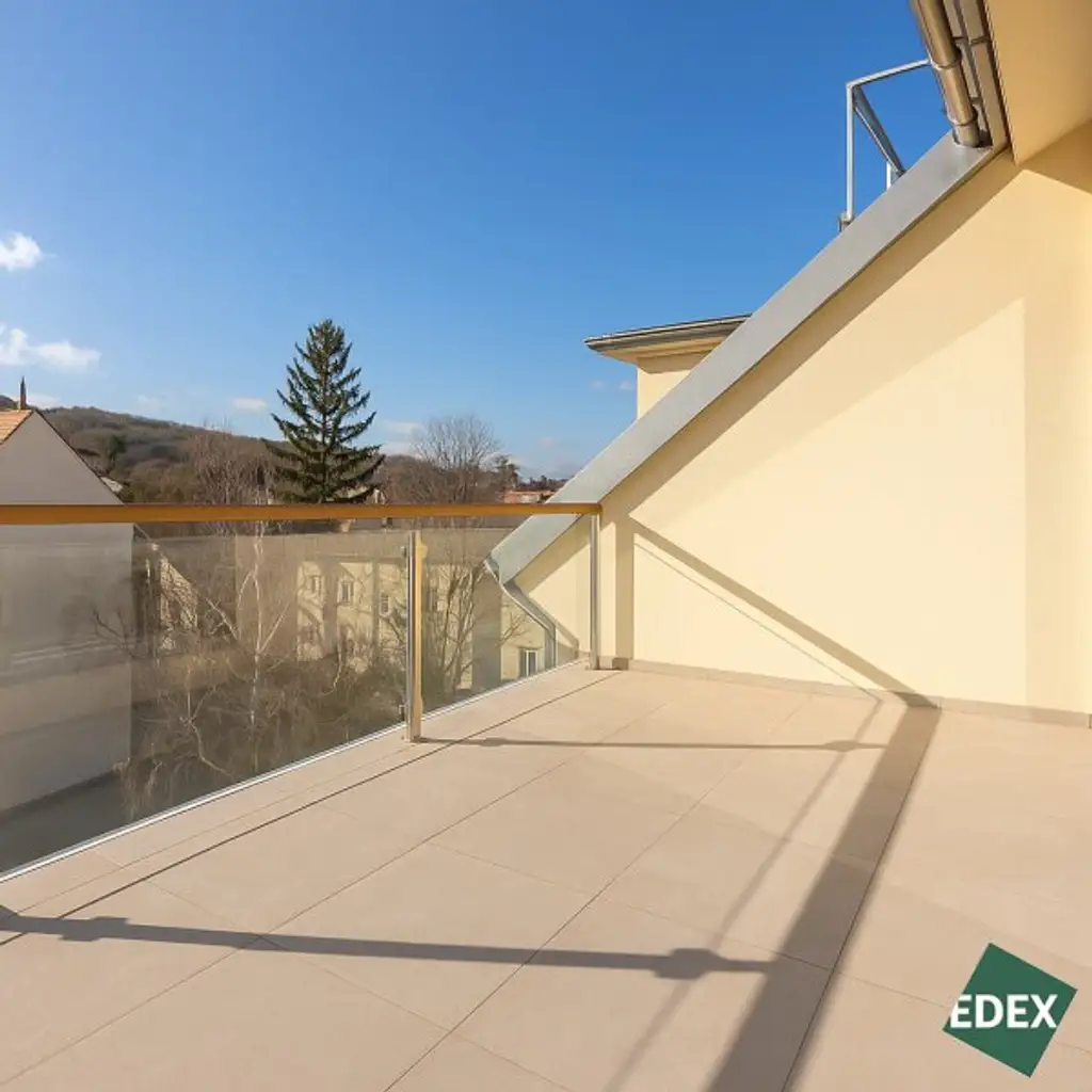 Exklusive Penthaus DG-Wohnung mit privatem Aufzug und Garage