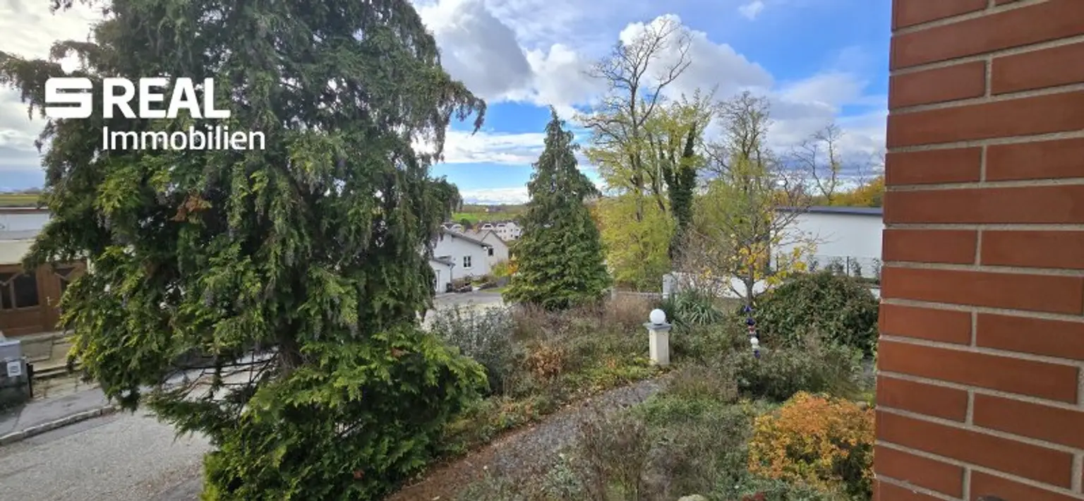 Blick SZ Terrasse