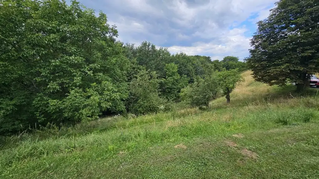 ** Geschmackvolles Zweifamilienwohnhaus - ca. 1,9ha LW-Fläche mit Wald ** unvergleichbarer Panoramablick auf Schloss Kapfenstein und das steirische Hügelland **