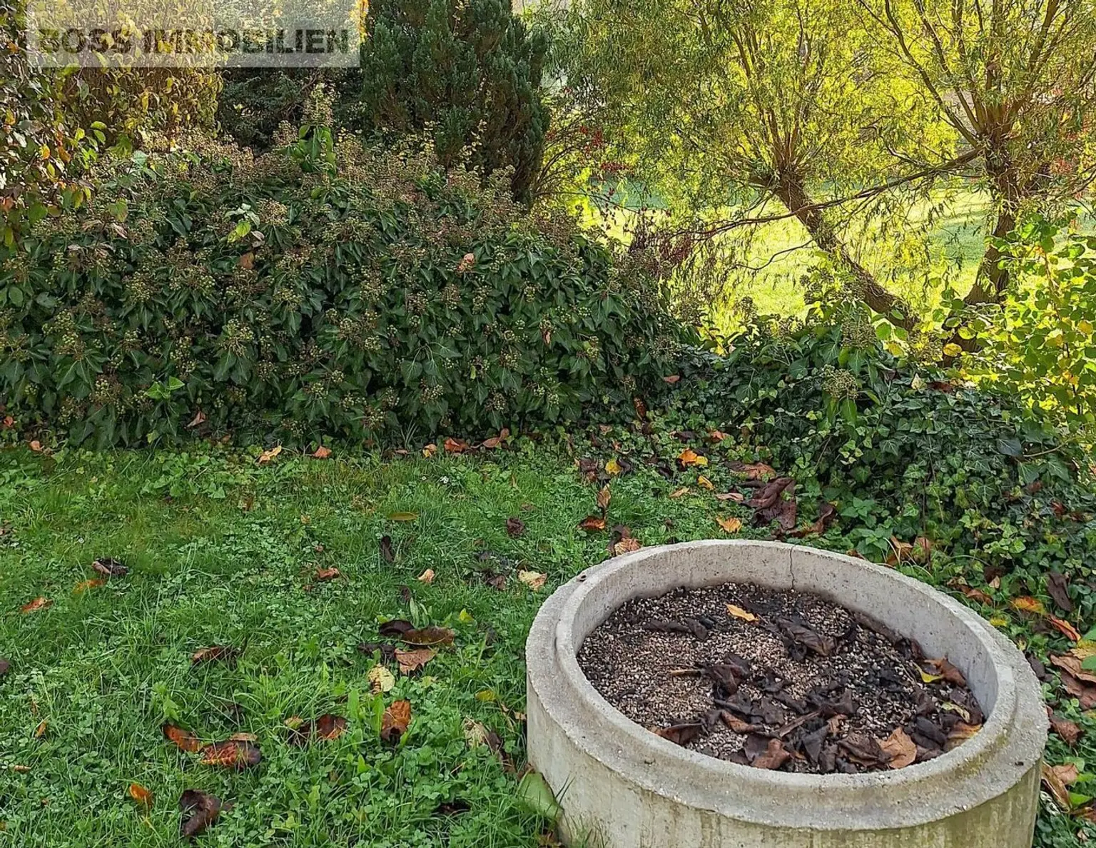 Naturnahes Paradies | Schrebergarten mit Gartenhütte