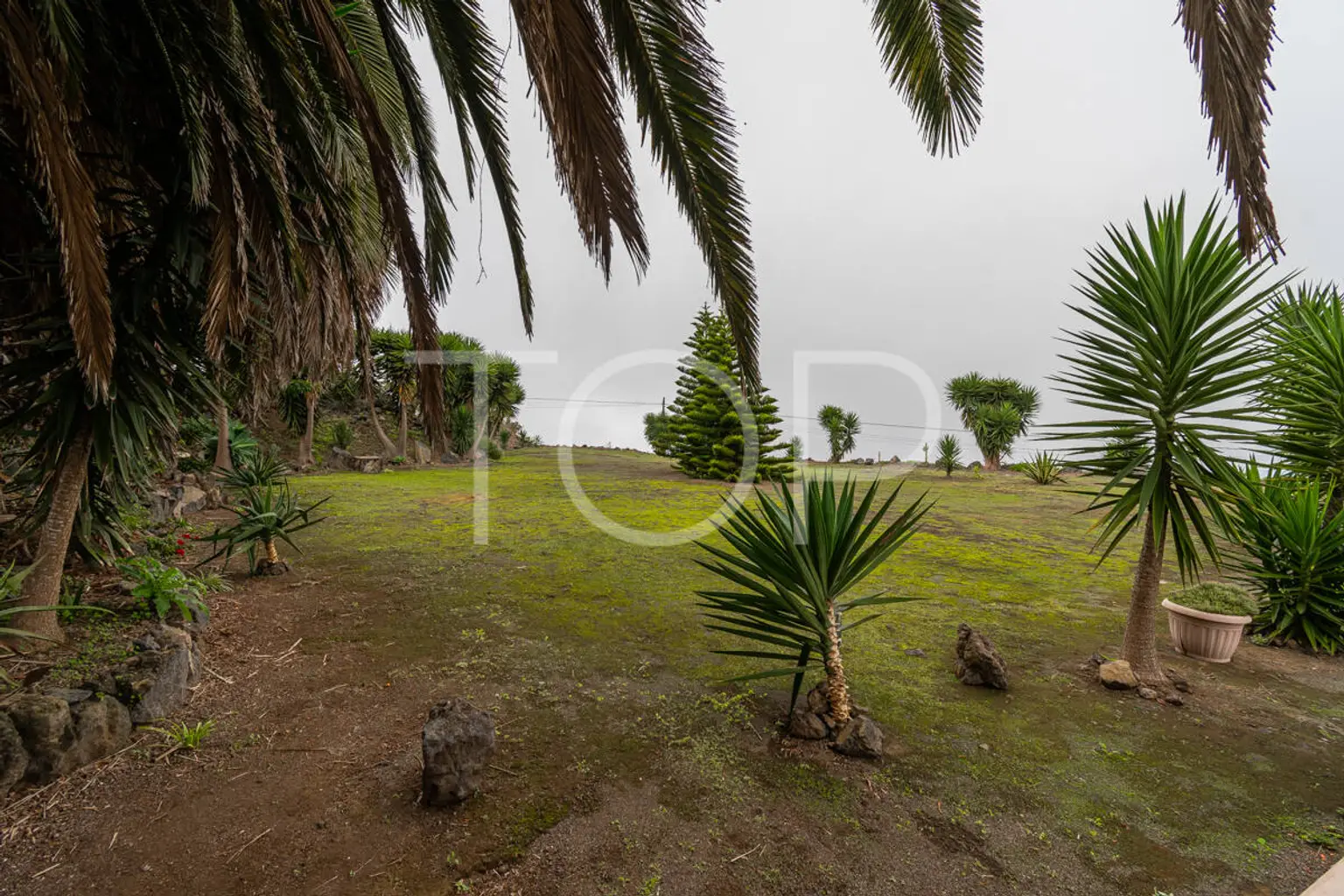 Haus-Icod-de-Los-Vinos-xxx-Teneriffa-30