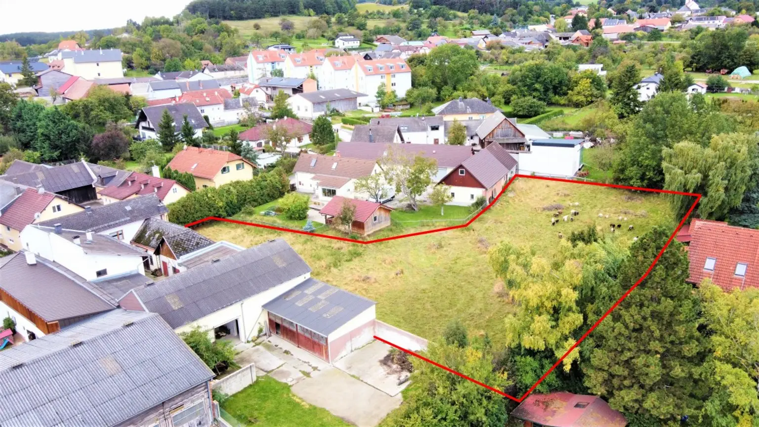 [06666] Großer Baugrund in ruhiger Siedlungslage