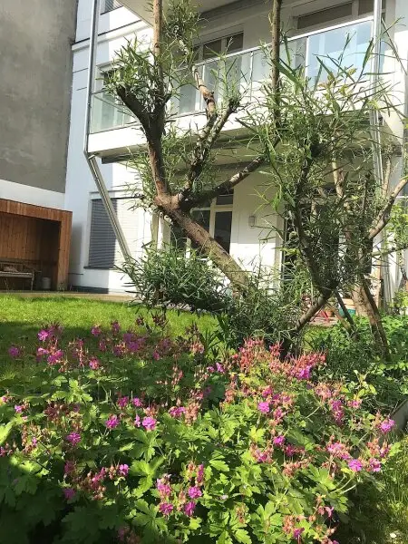 Gartenblick