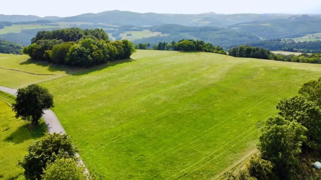 Grundstück mit Baumbestand für landwirtschaftliche Zwecke | 60.053 m² | Schwarzenbach in der Buckligen Welt