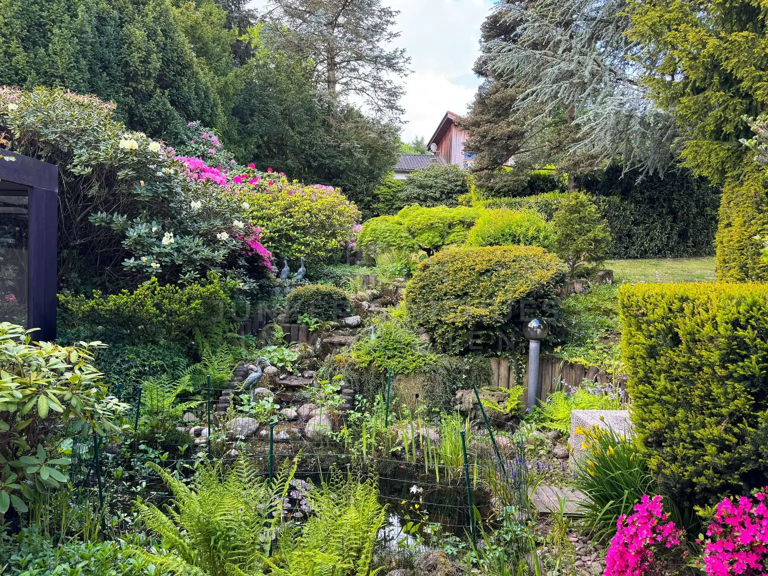 Blick auf den Teich