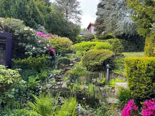 Blick auf den Teich