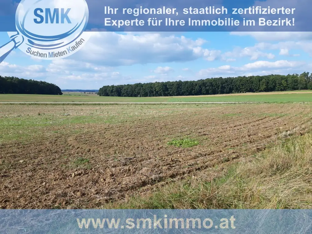 Acker bei Maissau - 3,42 ha landwirtschaftliche Nutzfläche!