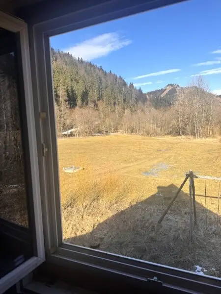 Ausblick vom Schlafzimmer