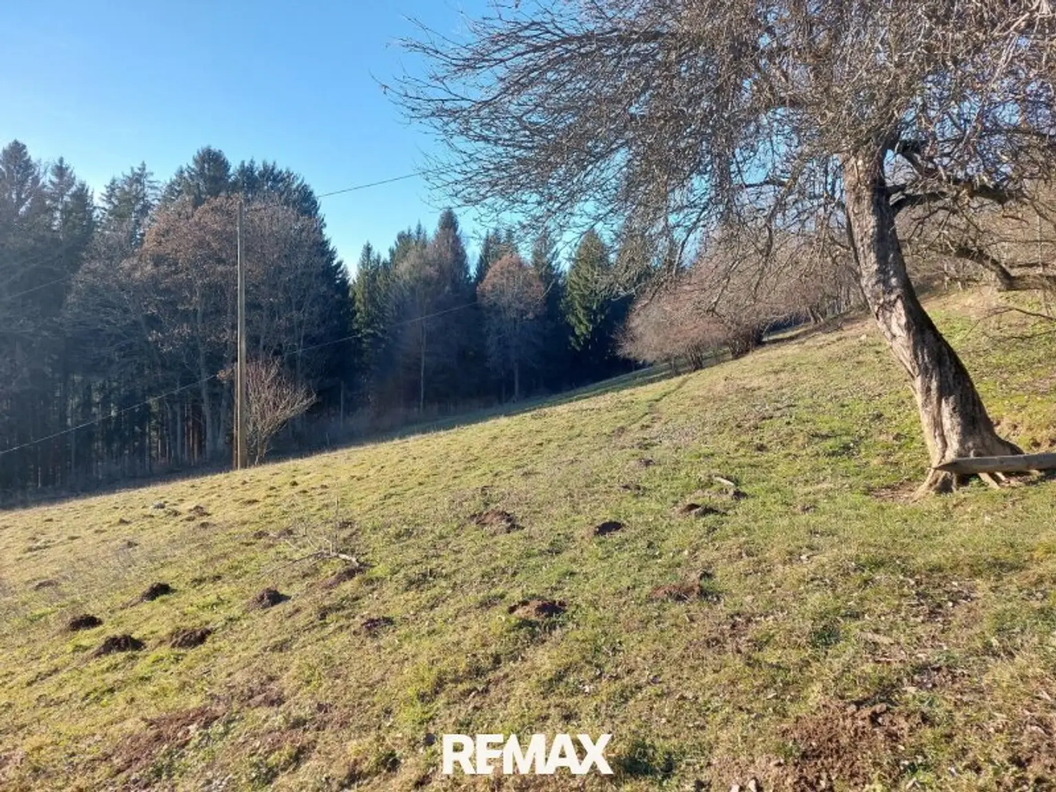 Sonniger Südhang