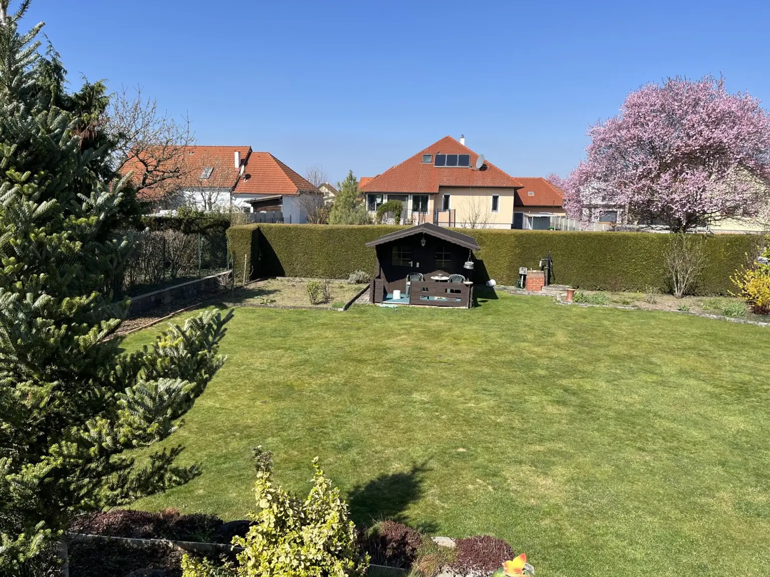 TOP-gepflegter Garten