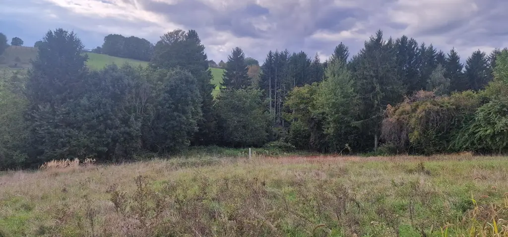 Seltene Gelegenheit Grundstück auch geeignet für Tiny Häuser in traumhafter Aussichtslage, Stadtbergen bei Fürstenfeld