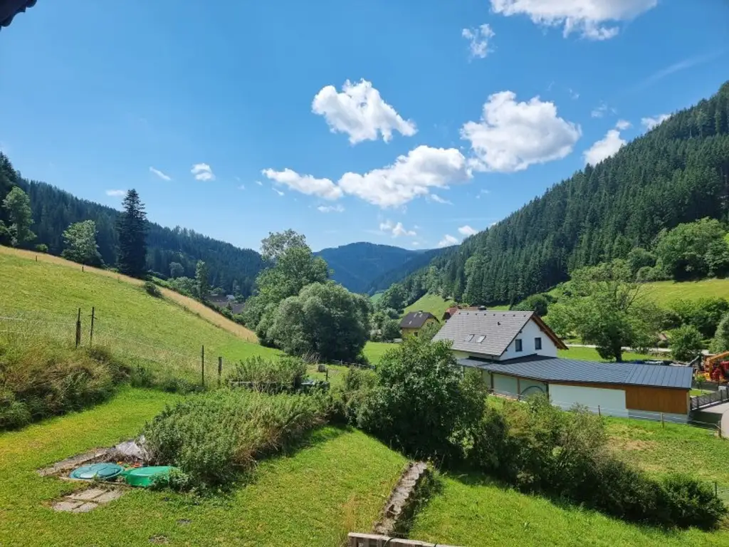 Großzügiges Landhaus sucht neuen Besitzer!