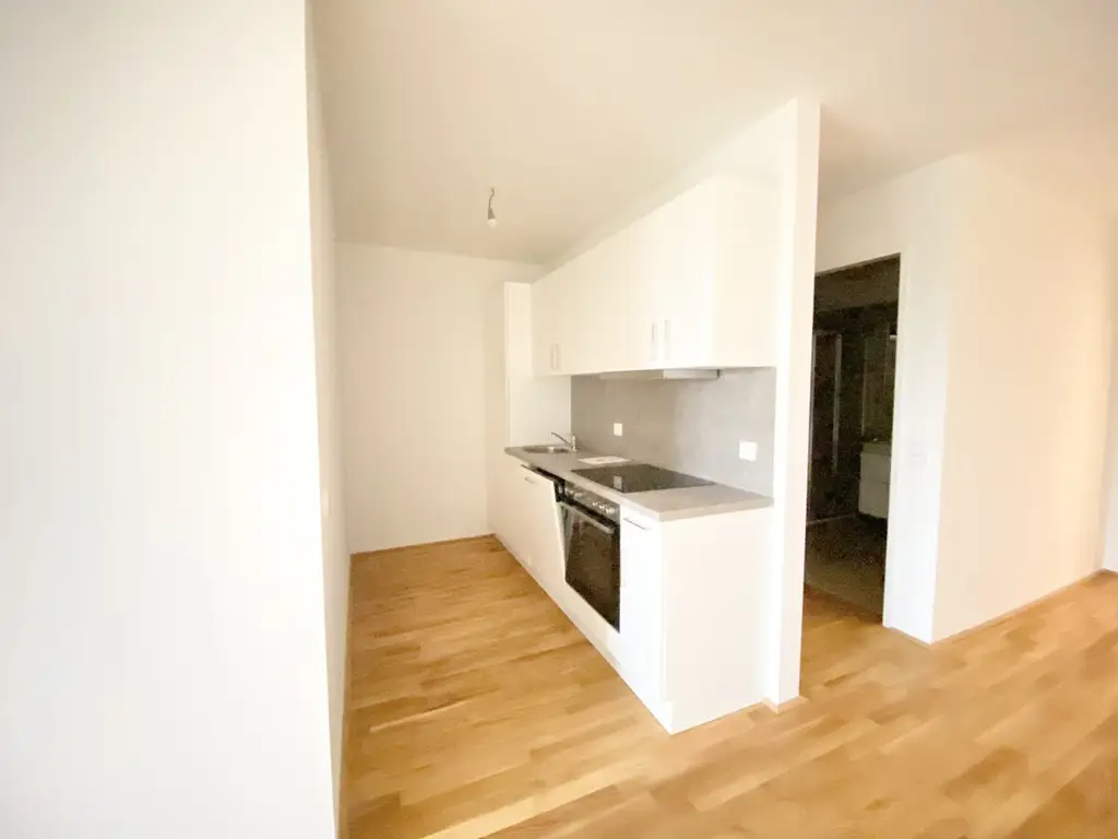 U3 2 Zimmer + Balkon - 1 bedroom apartment + balcony  ERSTBEZUG =Das Laurenz= Top Weitblick Wohnung