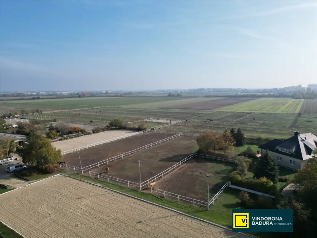 Exklusive Reitsportanlage vor den Toren Wiens – 145 Boxen | Reithallen | Reitplätze | Koppeln | Villa & Personalwohnungen