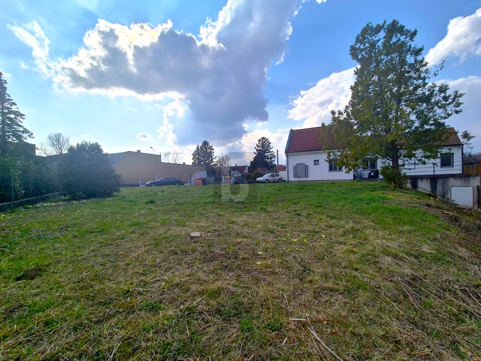 GRÜNBLICK MIT POTENTIAL!