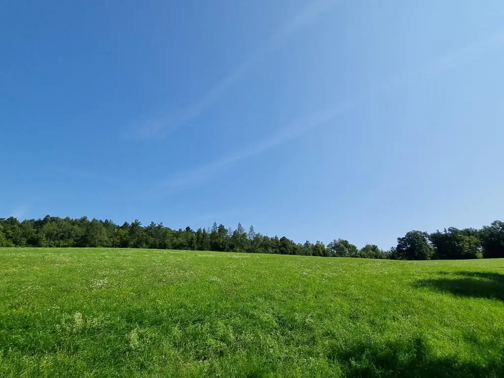 LANDWIRTSCHAFT VOR DEN TOREN WIENS
