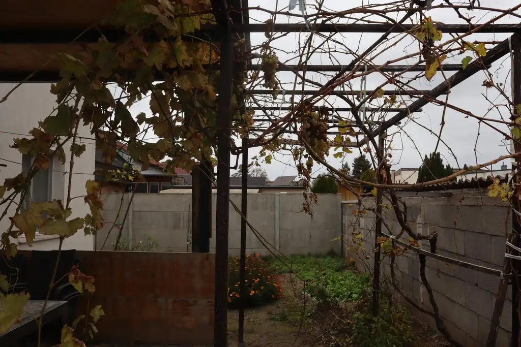 "Ein- oder Zweifamilienhaus!"