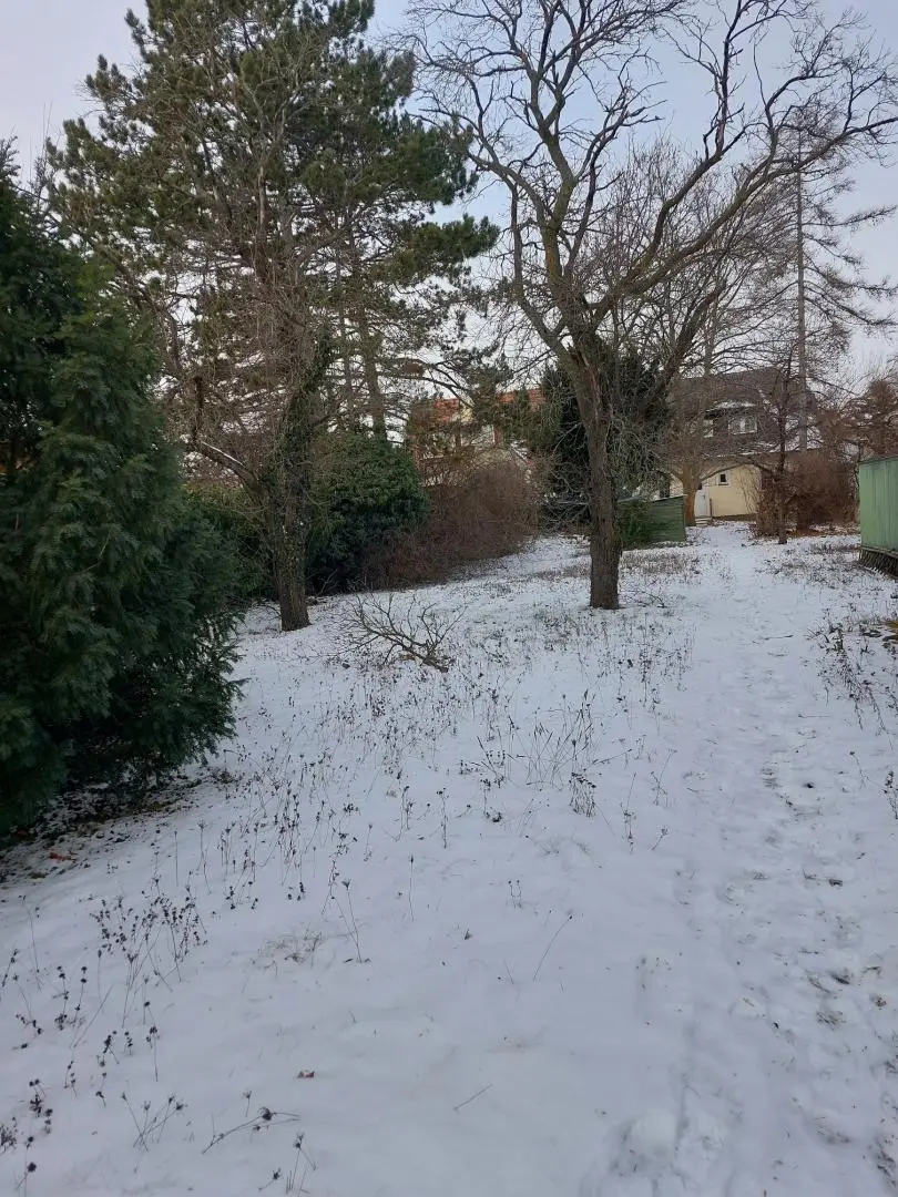 Grundstück mit Haus im Hintergrund