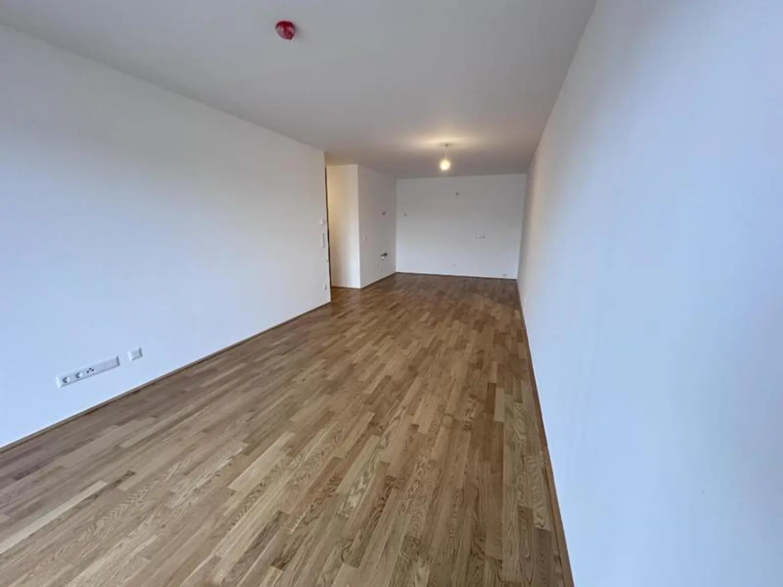 einen Katzensprung von Wien entfernt MIETE