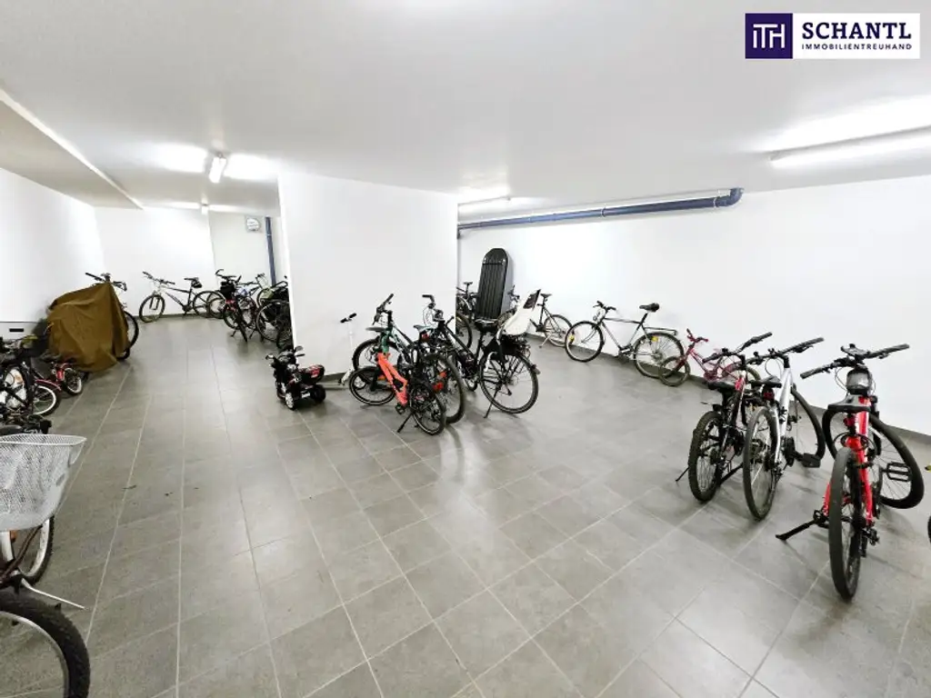 Ihre Wohlfühl-Oase in Best- und Ruhelage! Donauzentrum und Alte Donau um´s Eck! 3 ruhige Zimmer in Hoflage + Terrasse + Ideale öffentliche Anbindung! Jetzt zugreifen!