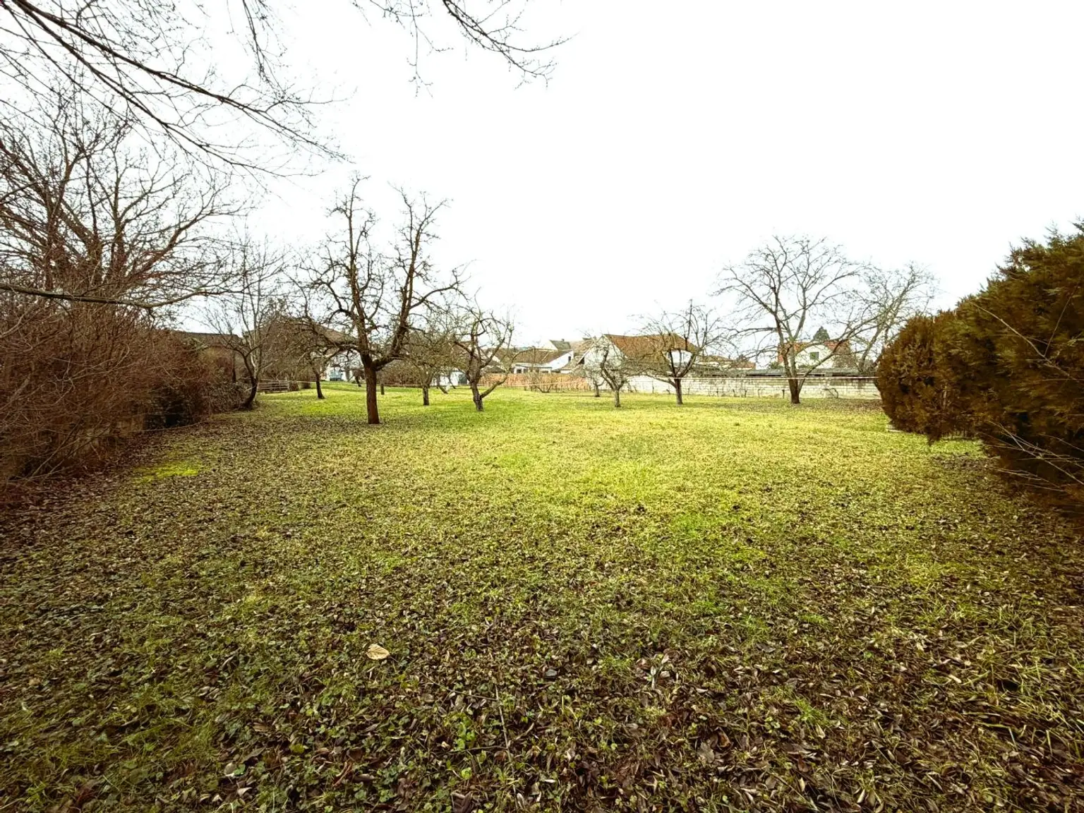 2 Sicht von der Straßenseite