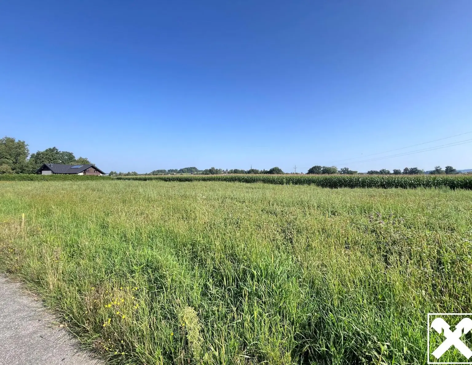 Ebener Baugrund in sonniger Ortsrandlage