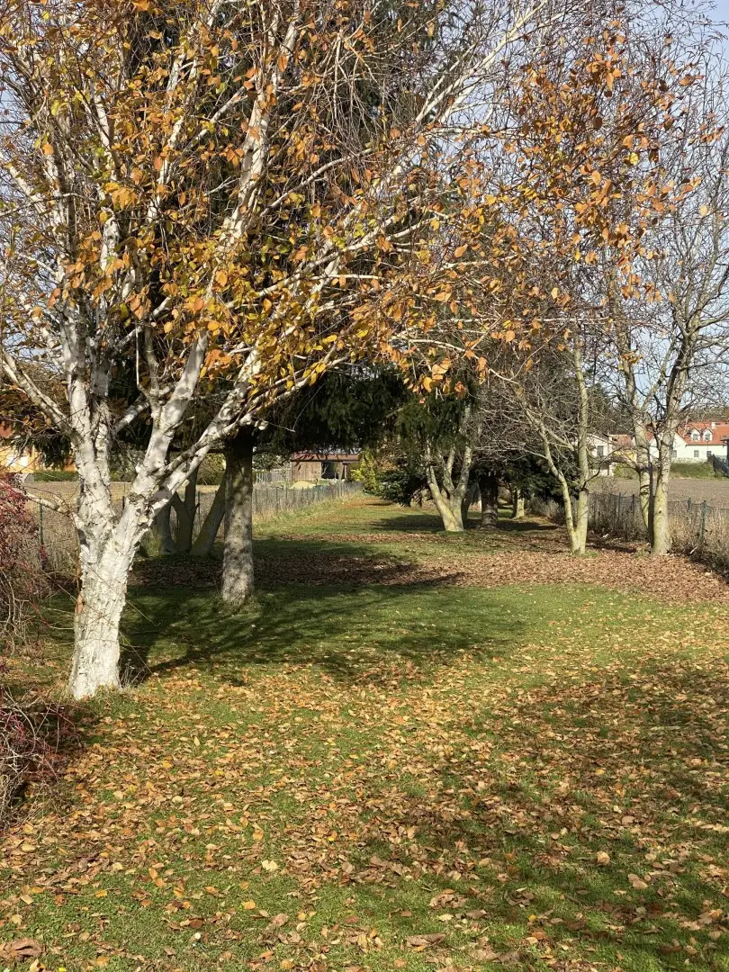 "Energieeffiziente Villa in schöner Lage"