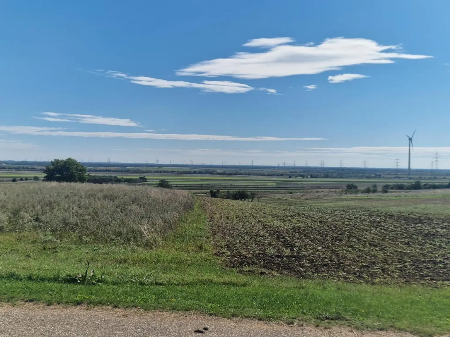 Grundstück mit Weitblick am Weinberg in Nickelsdorf- bereits aufgeschlossen