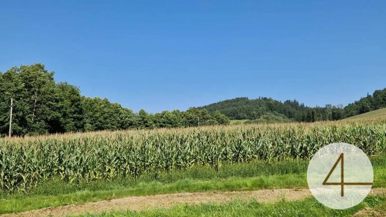 Ackerfläche von 8,8ha zu verkaufen