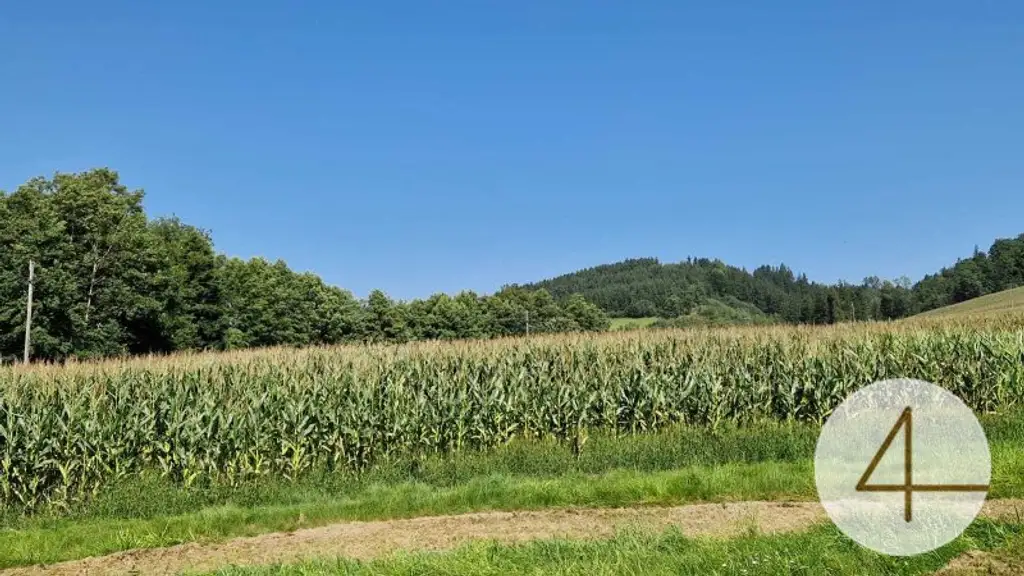 Ackerfläche von 8,8ha zu verkaufen