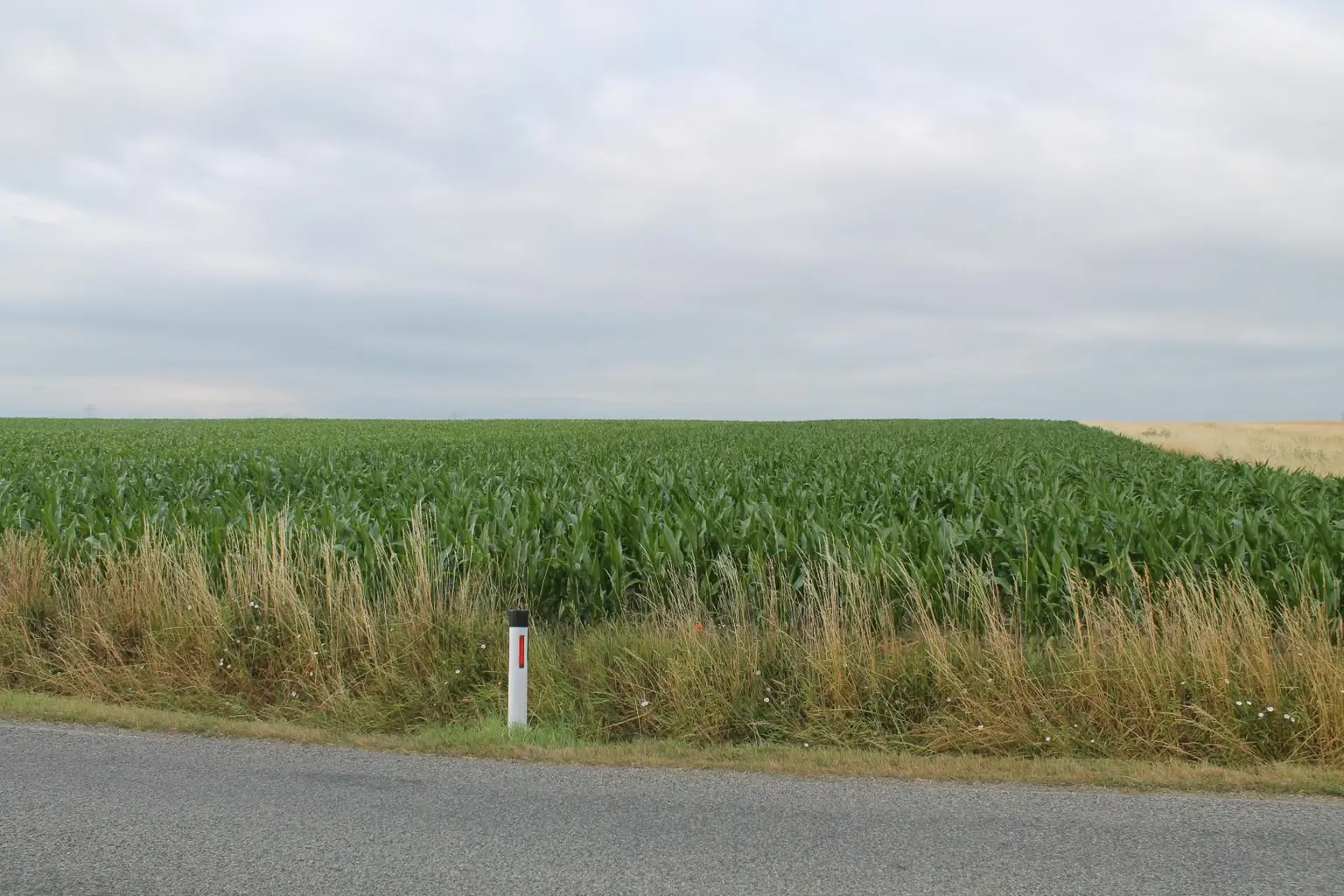 "Landwirte aufgepasst!"