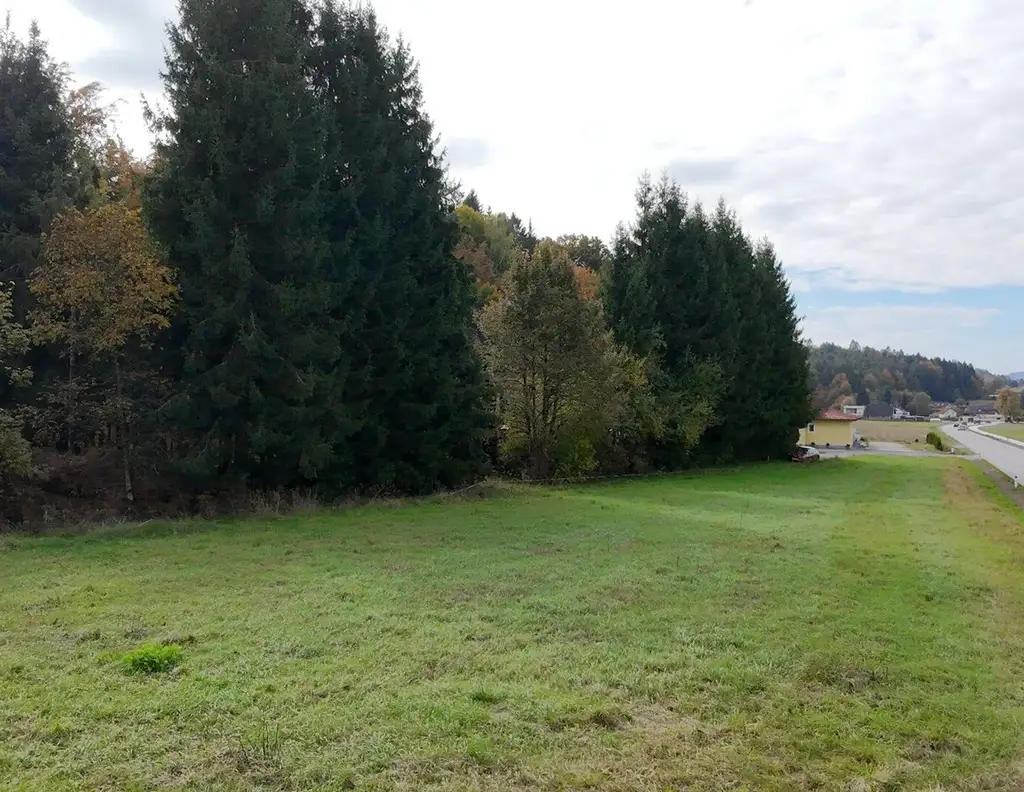 Attraktives Baugrundstück- groß, eben und vielseitig nutzbar