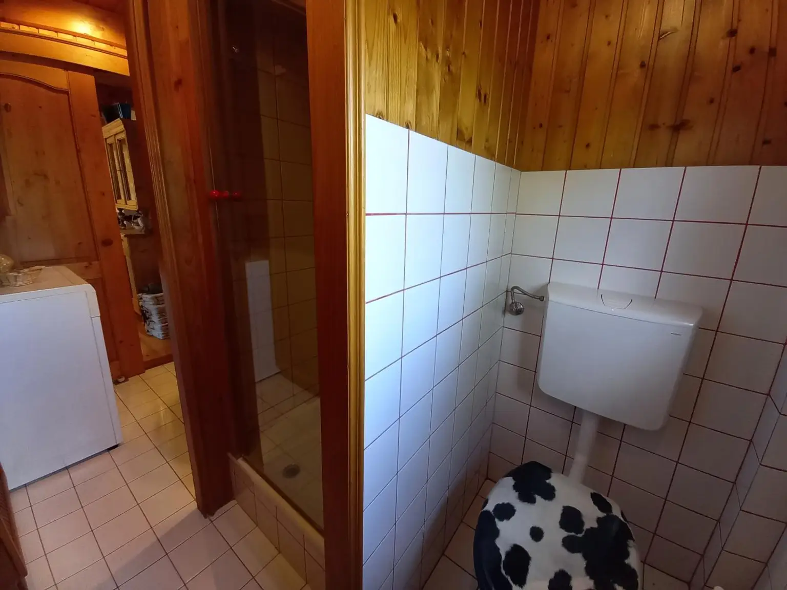 Dusche + WC