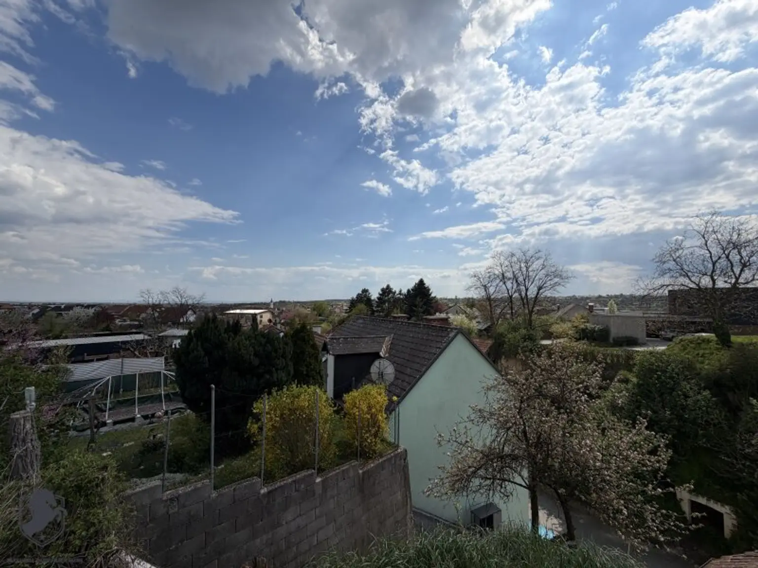 Charmantes Presshaus mit historischem Weinkeller & Entwicklungspotenzial – seltene Gelegenheit!